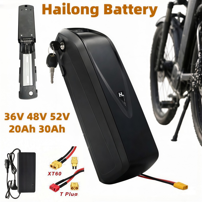 Ebike Battery 48V 20Ah Hailong - Batería para Bicicleta Eléctrica Multi-Tamaño Modelo