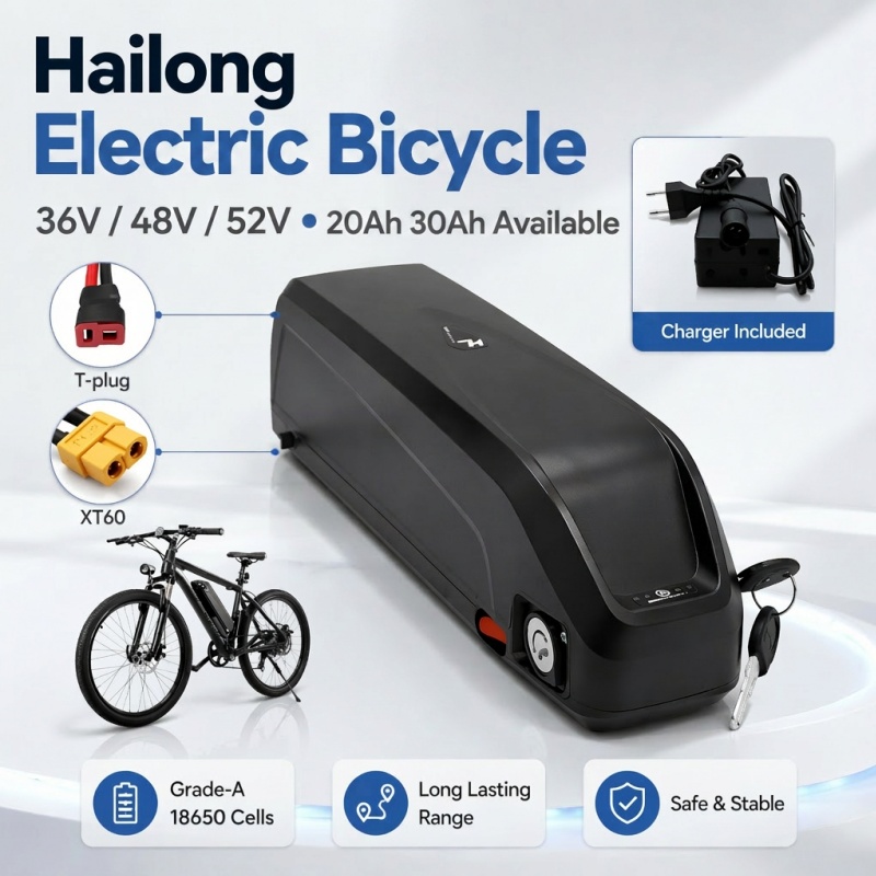 Batería para Bicicleta Eléctri - Ebike Battery 48V 20Ah Hailong reseña y precio