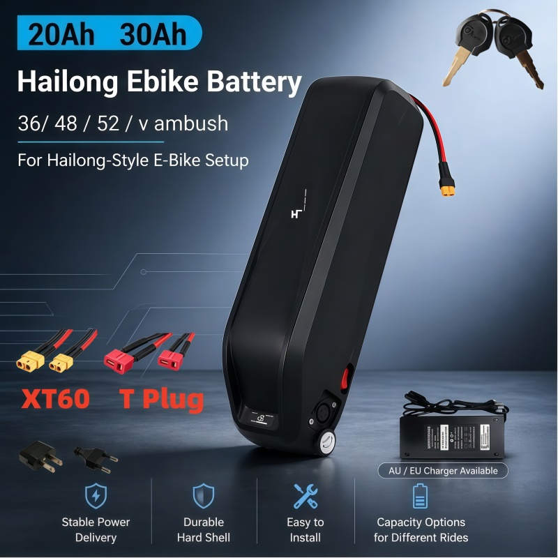 Batería Hailong Versátil, Mult - Ebike Battery 48V 20Ah Hailong reseña y precio