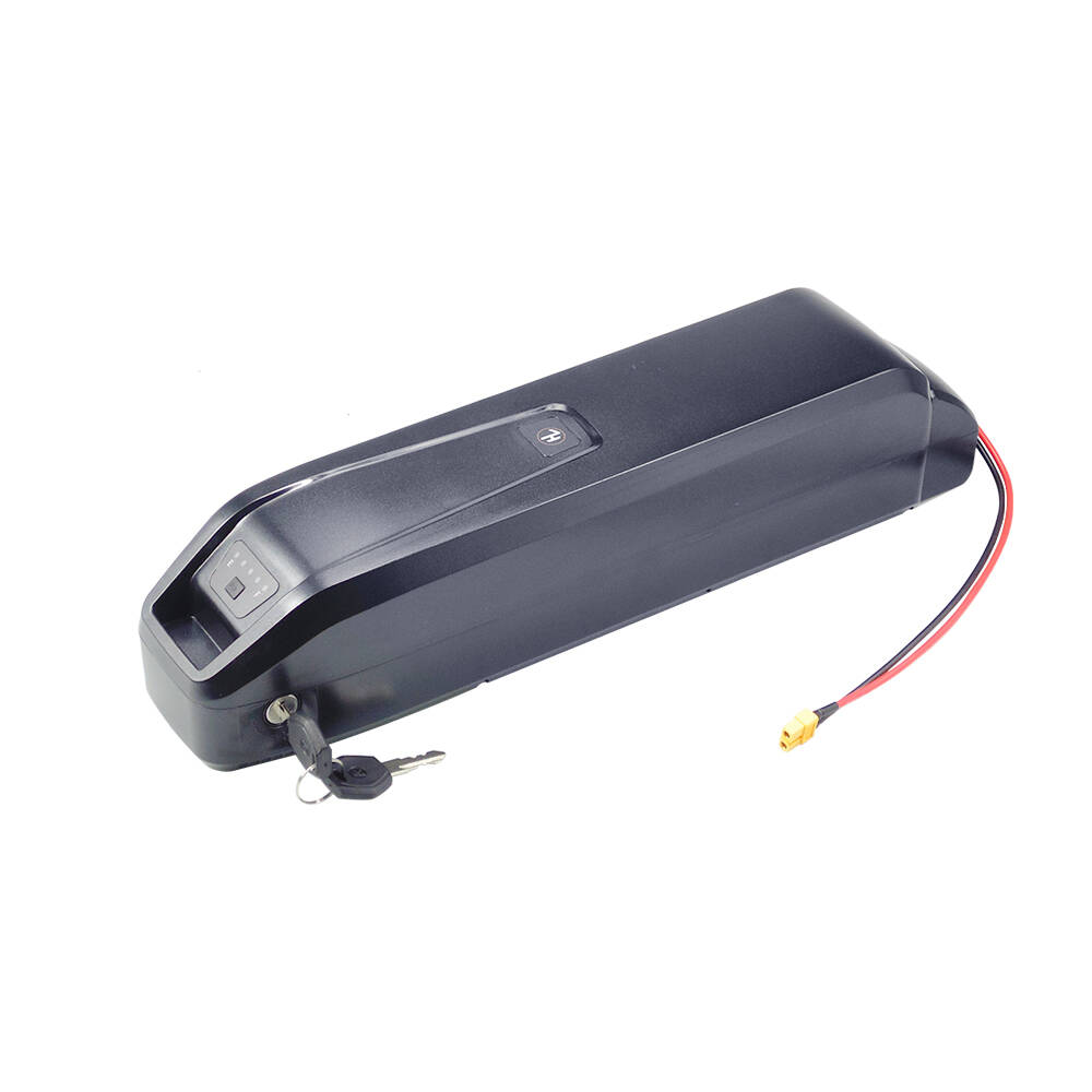 Nueva batería de bicicleta elé - Ebike Battery 48V 20Ah Hailong reseña y precio
